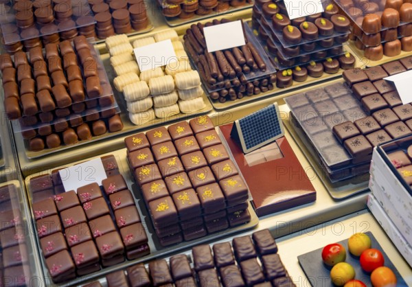 High angle shot showing lots of various artisan chocolate pralines