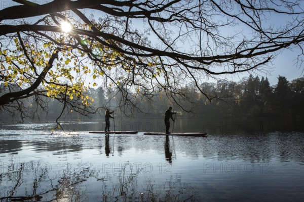 DEU Germany Germany Berlin Standup paddler (SUP) on the Krumme Lanke