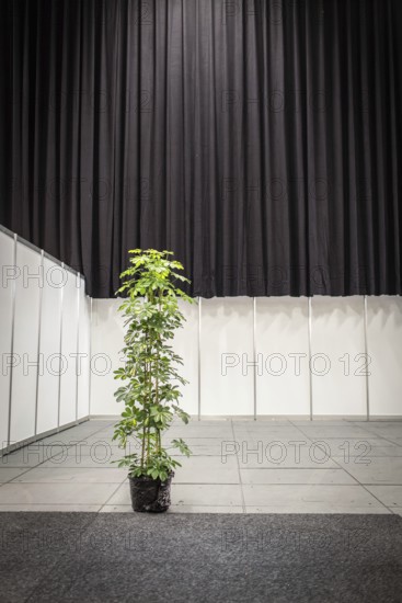 DEU Germany Germany Berlin A plant in front of an empty stand is intended to conceal the loss of exhibitors at the Green Week