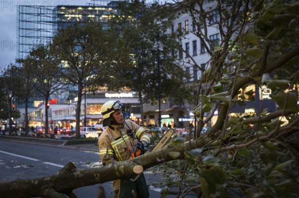 DEU Germany Germany Berlin Fire brigade operation on Kurfürstendamm. Storm Xavier had caused trees to fall onto the street. Firefighter saws tree into pieces