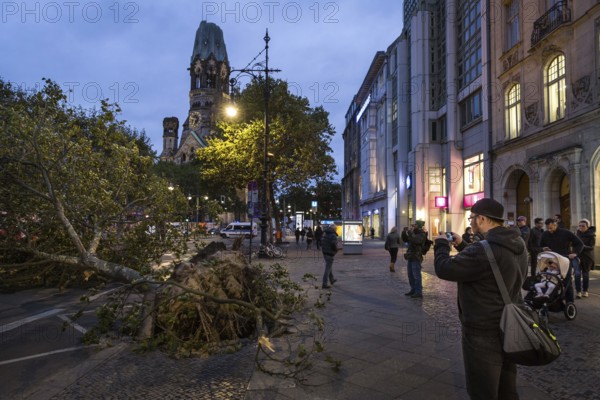 DEU Germany Germany Berlin Fire brigade operation on Kurfürstendamm. Storm Xavier had caused trees to fall onto the street. Passers-by take souvenir photos