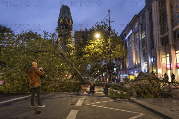 DEU Germany Germany Berlin Fire brigade operation on Kurfürstendamm. Storm Xavier had caused trees to fall onto the street. Father takes a souvenir photo with his children