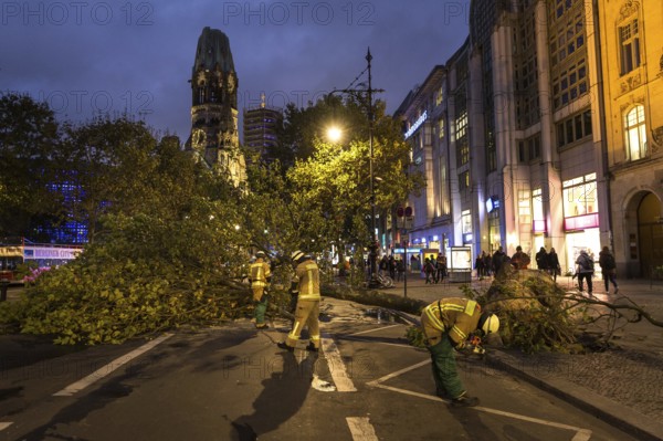 DEU Germany Germany Berlin Fire brigade operation on Kurfürstendamm. Storm Xavier had caused trees to fall onto the street