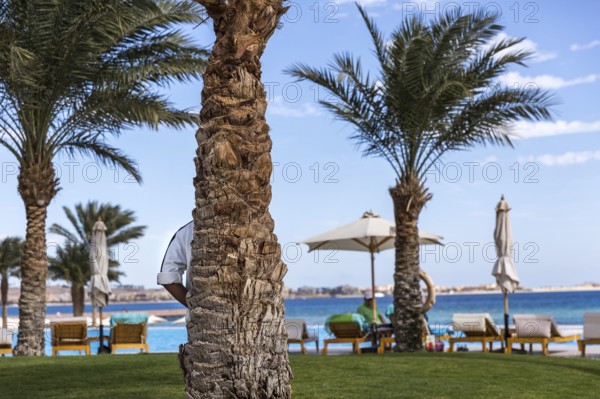 Egypt Hurghada A hotel employee watches the beach and bathers from a palm tree