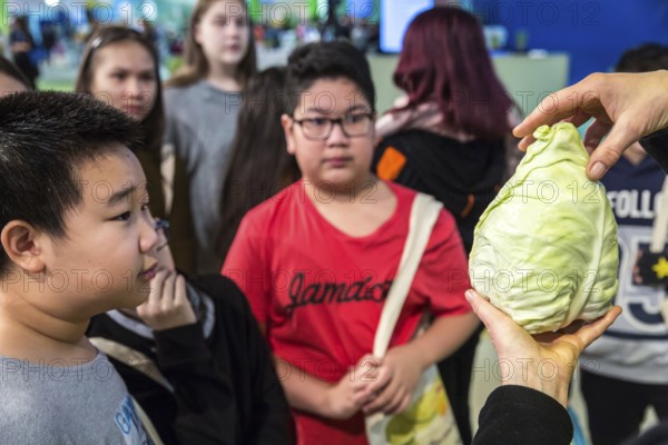 DEU Germany Germany Berlin Scene of the Green Weeks, the annual trade fair on food, agriculture and ecology. Vegetables, here pointed cabbage, are explained to schoolchildren