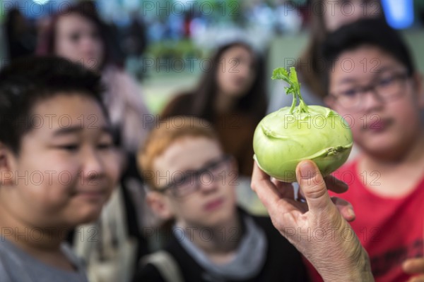 DEU Germany Germany Berlin Scene of the Green Weeks, the annual trade fair on food, agriculture and ecology. Vegetables, here kohlrabi, are explained to schoolchildren