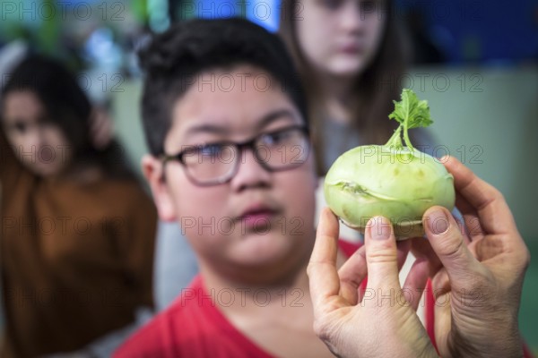 DEU Germany Germany Berlin Scene of the Green Weeks, the annual trade fair on food, agriculture and ecology. Vegetables, here kohlrabi, are explained to schoolchildren