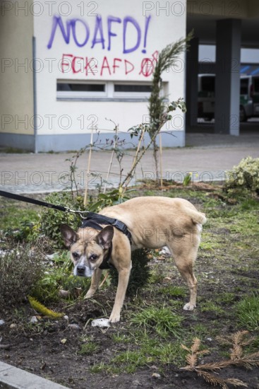 DEU Germany Germany Berlin Demonstration ' March of Women, which was organised by AFD member, the Kurdish woman Leyla Bilge. The protest was directed against the sexism of asylum seekers and the German government's immigration policy.dog in front of graffiti by counter-demonstrators at Hallesches Tor