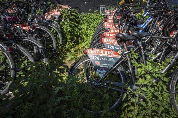 DEU Germany Germany Berlin Rental bikes in the city.bikes from the provider berlinandbike.com are parked on a site at the S-Bahn arches behind Zoo station