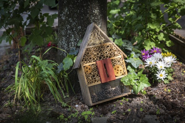 DEU Germany Germany Berlin An insect house on a pavement in Bouchéstrasse in Treptow