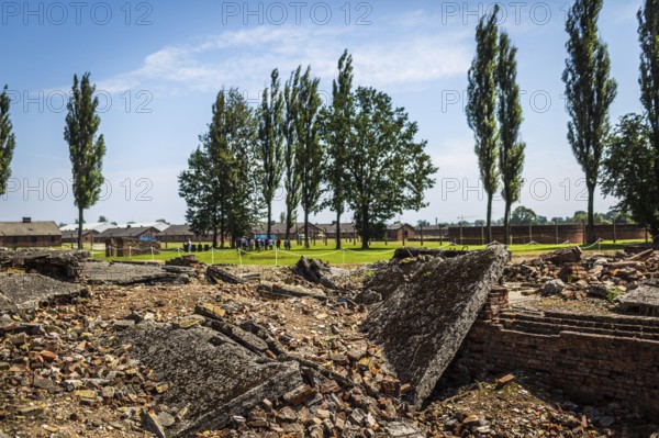 POL Poland Poland Auschwitz-Birkenau Destroyed gas chambers in the Auschwitz-Birkenau camp