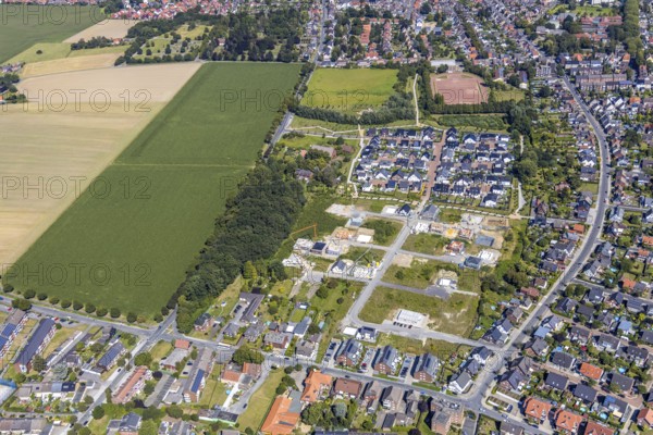 Aerial view, residential park Schulze-Everding, open space and meadow south of Horster Straße, second construction phase Berliner Straße, Bockum-Hövel, Hamm, Ruhr area, North Rhine-Westphalia, Germany, DE, Europe, birds-eyes view, aerial photograph, aerial photography, overview, bird's eye view
