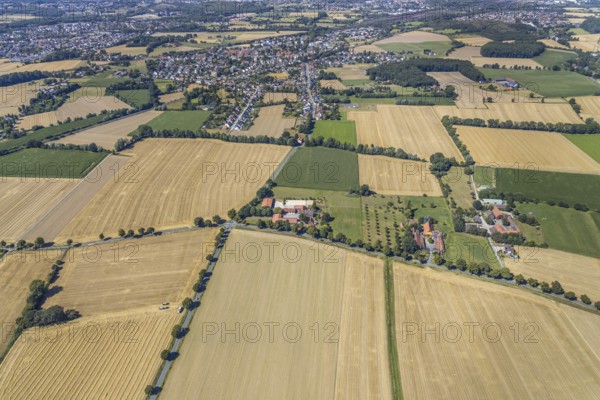 Aerial view, DPD depot in Hamm, truck stop Osterbönener Weg, logistics centre, Hamm, Ruhr area, North Rhine-Westphalia, Germany, DE, Europe, birds-eyes view, aerial view, aerial photography, aerial photography, overview, bird's eye view, truck stop, road block, road narrowing