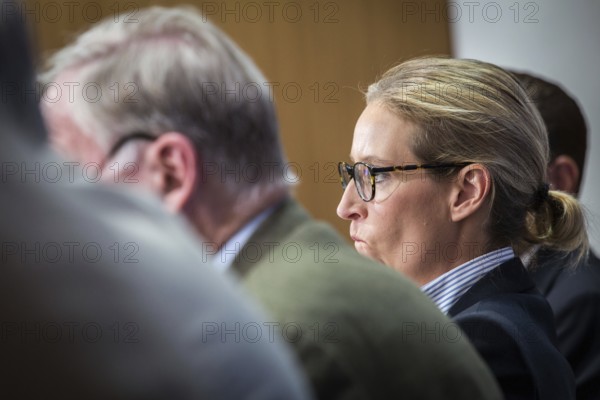 DEU Germany Germany Berlin AFD press conference on environmental policy with Alexander Gauland and Alice Weidel