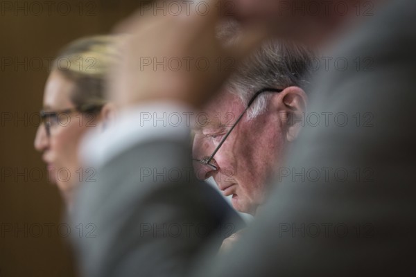 DEU Germany Germany Berlin AFD press conference on environmental policy with Alexander Gauland and Alice Weidel