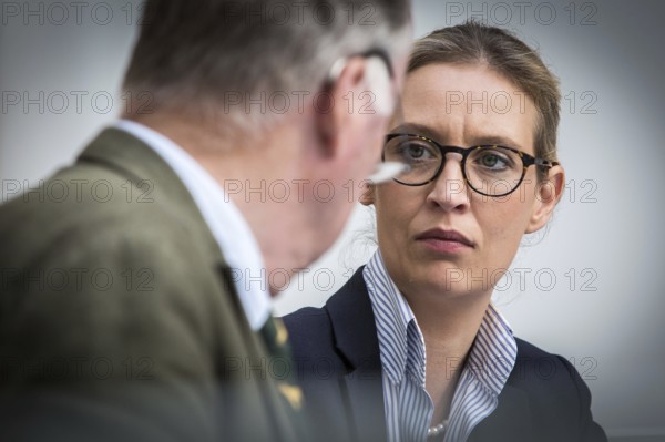 DEU Germany Germany Berlin AFD press conference on environmental policy with Alexander Gauland and Alice Weidel