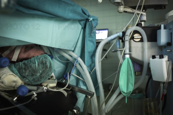 DEU Germany Germany Wittenberg Everyday life at the Paul Gerhardt Stift Protestant Hospital in Luther city Wittenberg, operating theatre with doctors and assistants