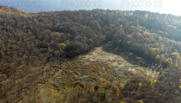 Aerial photo, forest, Harkortberg, Harkortrsee, forest damage, Herdecke, Ruhr area, North Rhine-Westphalia, Germany, DE, Europe, birds-eyes, view, aerial photography, aerial photography, overview, overview, bird's eye view, Harkortsee, trees, tree population, wood, nature, water, leisure, swimming, boats, shipping, ships, recreation