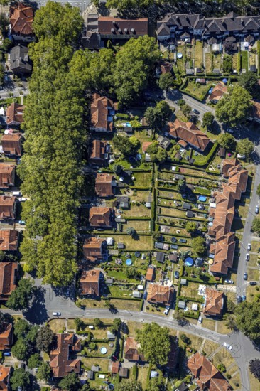 Aerial view, Teutoburgia housing estate with swimming pools in the back gardens, pools, garden city, colliery housing estate, Herne, Ruhr area, North Rhine-Westphalia, Germany, workers' housing estate, Baarestraße, DE, monument protection, Europe, property tax, green areas, green trees, gardens, real estate, aerial view, aerial photography, aerial photography, apartment buildings, Rhine-Ruhr metropolitan region, sight, overview, bird's-eye view, housing estate, housing and living, residential area, residential buildings, residential quality, residential neighbourhood, housing estate, housing estate Teutoburgia, birds-eyes view, overview, red roofs