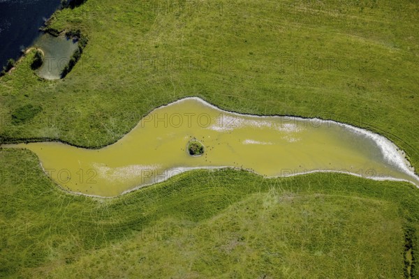 Aerial view, pond with island and water birds in the Lippe floodplains, Hamm, Ruhr area, North Rhine-Westphalia, Germany