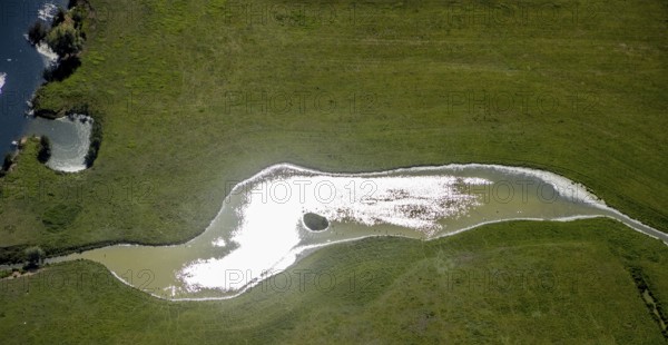 Aerial view, pond with island and water birds in the Lippe floodplains, Hamm, Ruhr area, North Rhine-Westphalia, Germany, DE, Europe, Lippestraße, aerial view, aerial photography, aerial photography, natural landscape, pond, overview, bird's-eye view, overview