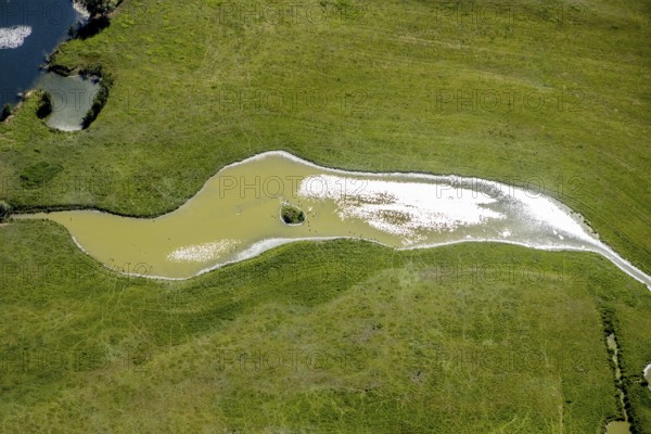 Aerial view, pond with island and water birds in the Lippe floodplains, Hamm, Ruhr area, North Rhine-Westphalia, Germany, DE, Europe, Lippestraße, aerial view, aerial photography, aerial photography, natural landscape, pond, overview, bird's-eye view, overview