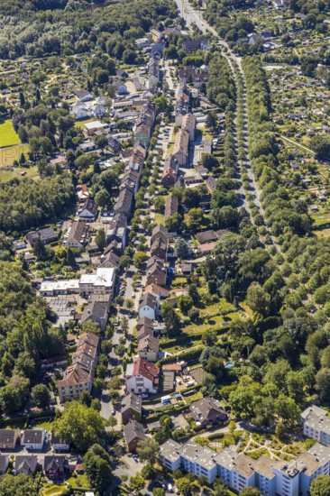 Aerial view, street with trees, Dorstener Straße, Herne, Ruhr area, North Rhine-Westphalia, Germany, DE, Europe, property tax, green trees, real estate, aerial view, aerial photography, aerial photography, Rhine-Ruhr metropolitan region, overview, bird's-eye view, residential area, residential area, residential buildings, housing estate, birds-eyes view, overview