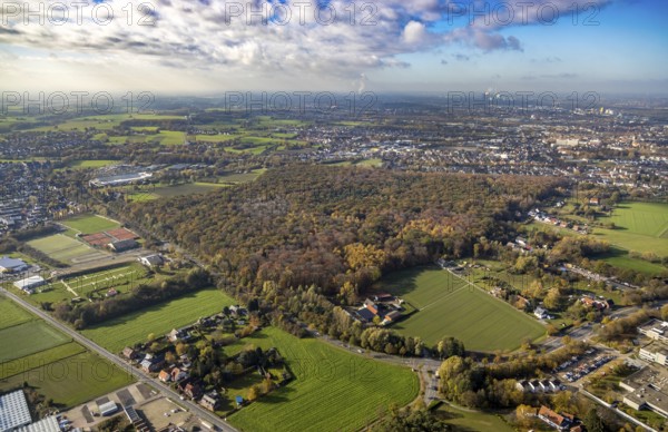 Aerial view, Pilsholz Forest, Rhynern, Hamm, Ruhr area, North Rhine-Westphalia, Germany, DE, Europe, shapes and colours, autumn colours, In der Pielsheide, aerial view, aerial photography, aerial photography, mixed forest, local recreation area, overview, bird's-eye view, forest, forest area, woodland, birds-eyes view, overview