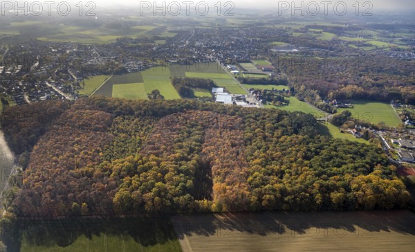 Aerial view, Hüls Wald Caldenhofer Weg, Uentrop, Hamm, Ruhr area, North Rhine-Westphalia, Germany, DE, Europe, shapes and colours, autumn colours, aerial view, aerial photography, aerial photography, mixed forest, overview, bird's-eye view, forest, forest area, birds-eyes view, overview