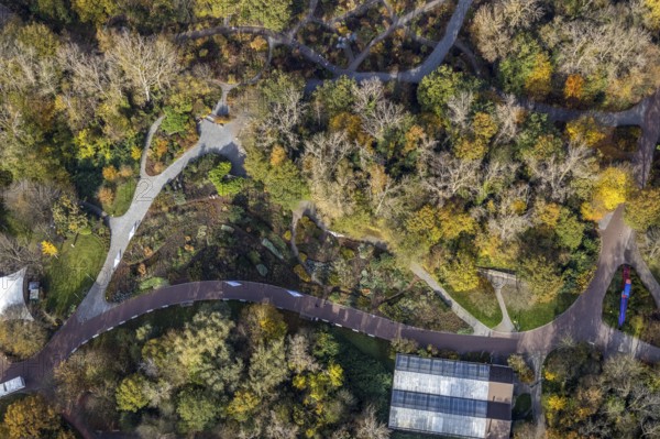 Aerial view, Maximilianpark Hamm, rose beds, Uentrop, Hamm, Ruhr area, North Rhine-Westphalia, Germany, DE, Europe, shapes and colours, leisure park, site of the disused Maximilian colliery, glass elephant landmark, aerial view, aerial photography, MaxiPark, rose beds, overview, bird's-eye view, overview