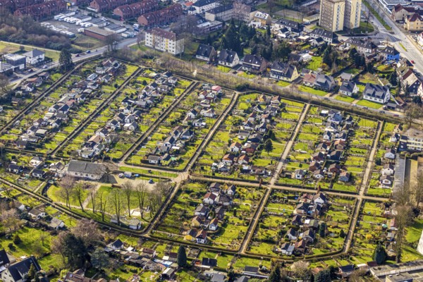 Aerial view, allotment gardens of the allotment garden association Herne Süd, Herne, Ruhr area, North Rhine-Westphalia, Germany, DE, Europe, birds-eyes, view, aerial view, aerial photography, aerial photography, overview, bird's eye view, garden, plants, flowers, fruits, useful plants, fruit, vegetables, recreation, leisure, nature