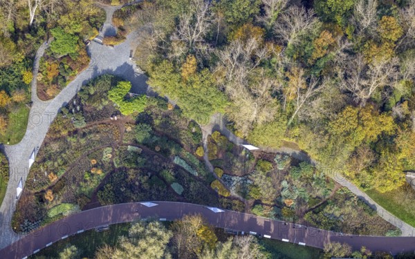 Aerial view, Maximilianpark Hamm, rose beds, Uentrop, Hamm, Ruhr area, North Rhine-Westphalia, Germany, DE, Europe, shapes and colours, leisure park, site of the disused Maximilian colliery, glass elephant landmark, aerial view, aerial photography, MaxiPark, rose beds, overview, bird's-eye view, overview