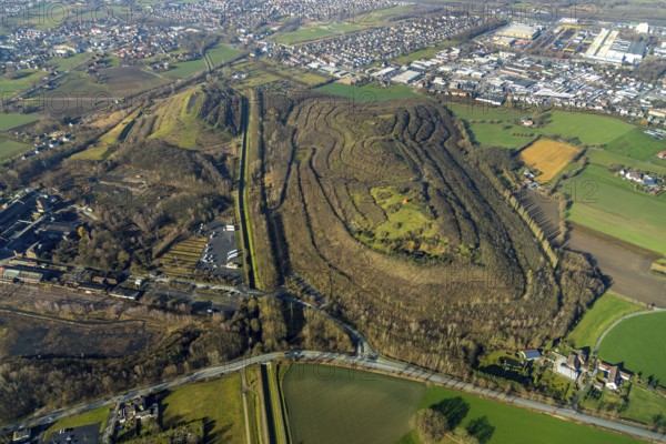 Aerial photo, Kissinger Höhe, slag heap, Humbert-Halde, Hamm, Ruhr area, North Rhine-Westphalia, Germany, spoil tip, DE, Europe, distant view, slag heap, slag heap landscape, slag heap sign, aerial photograph, aerial photography, aerial photography, park, tower, overview, bird's eye view, forest area, birds-eyes view, former Ost colliery, overview