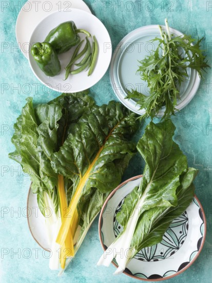 Fresh green chard, bell pepper, green beans, and mizuna on plates