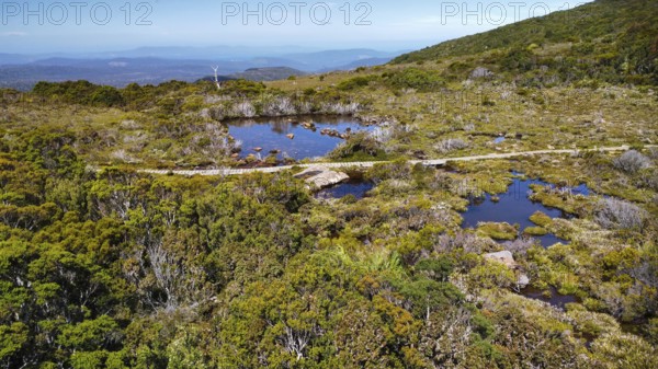 A hiking path and it´s vegetation in front of the vastness of Tasmania, photograped with a drone