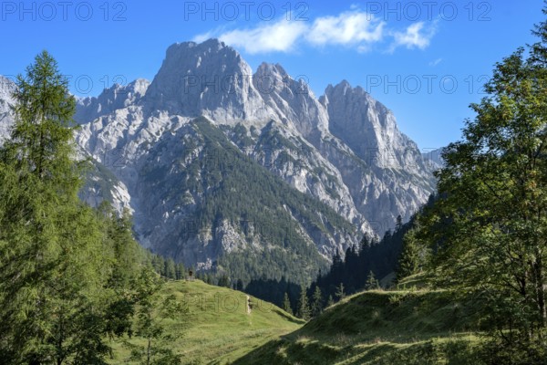 View from Bindalm to the peaks of the Reither Alm with Stadelhorn and Mühlsturzhorn, Berchtesgaden National Park, Bavarian Alps, Germany