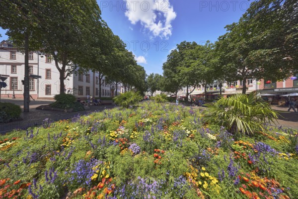 Garden area, flower bed, trees, general architecture, pedestrians as a secondary motif, blue sky, cumulus clouds, Schillerplatz, Mainz, state capital, district-free city, Rhineland-Palatinate, Germany