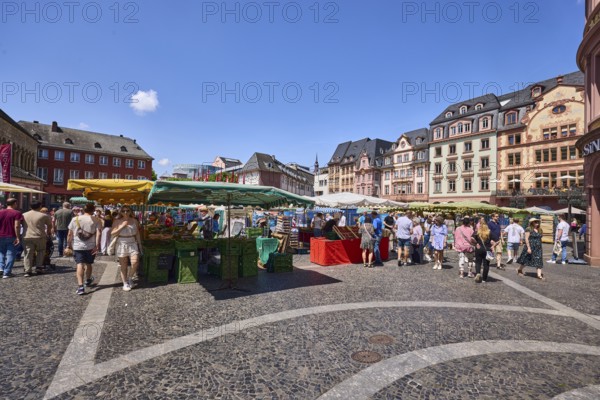 Weekly market, market stalls, general architecture, historic buildings, sidewalk made of marble slabs and paving stones with patterns, pedestrians as a secondary motif, blue sky, cumulus clouds, market square, Mainz, state capital, district-free city, Rhineland-Palatinate, Germany
