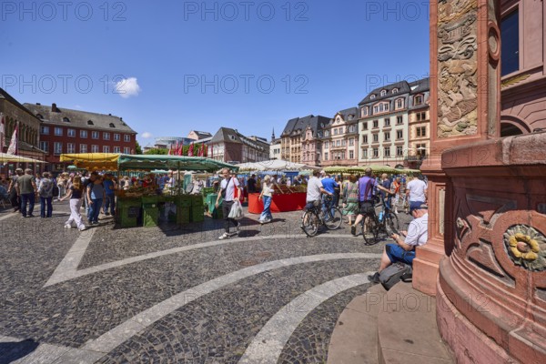 Weekly market, market stalls, general architecture, historic buildings, sidewalk made of marble slabs and paving stones with patterns, cyclists and pedestrians as secondary motifs, blue sky, cumulus clouds, Markt square, Mainz, state capital, district-free city, Rhineland-Palatinate, Germany