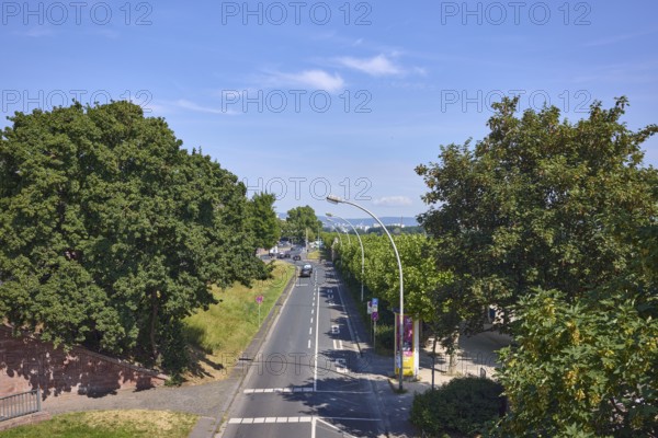 Road, lanterns, lanes, bus lane, bus lane marking, solid line, trees, lawn, elevated perspective, blue sky, Peter-Altmeier-Allee, Mainz, state capital, district-free city, Rhineland-Palatinate, Germany