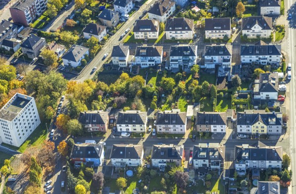 Aerial view, row house residential development with allotment gardens on Wilhelm-bush-Straße and Wilhelm-Raabe-Straße, Mitte, Hamm, Ruhr area, North Rhine-Westphalia, Germany, DE, Europe, property tax, real estate, aerial photography, aerial photography, overview, bird's eye view, residential complex, residential area, residential area, residential area, residential area, birds-eyes view, overview
