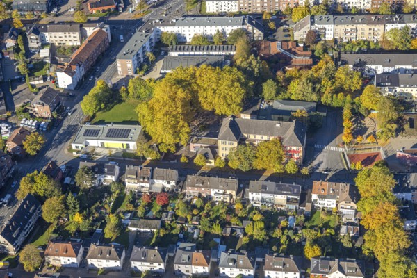 Aerial view, Harkortschule with autumn trees, new teaching pool with solar roof, in the back Kita Kidron, Mitte, Hamm, Ruhr region, North Rhine-Westphalia, Germany, education, educational institution, trees in autumn colors, autumn colors, autumn atmosphere, kindergarten, daycare center, teaching institute, aerial view, aerial photography, aerial photography, new building, school, swimming pool, overview, bird's eye view, birds-eyes view, autumn trees, overview