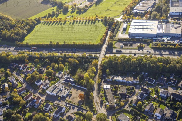 Aerial view, Wambelner Straße bridge over the A2 motorway, meadow area surrounded by autumn trees on the A2 motorway, autumn trees, Rhynern district, Hamm, Ruhr area, North Rhine-Westphalia, Germany, motorway, bridge, DE, Europe, aerial photography, aerial photography, road traffic, overview, birds-eyes view, overview