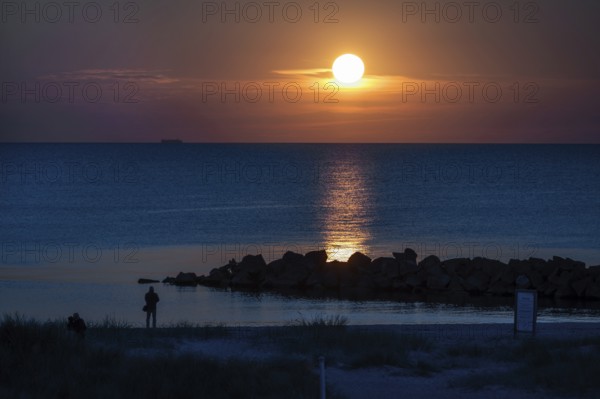 Sunset on the Baltic Sea with protective breakwaters, Darß, Ahrenshoop, Mecklenburg-Western Pomerania, Germany