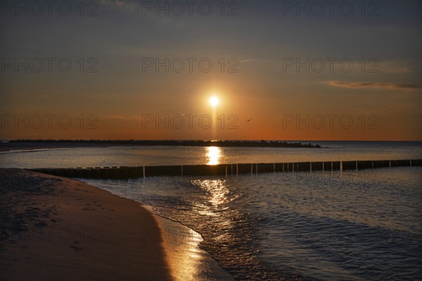 Sunset on the Baltic Sea with protective groves, Darß, Ahrenshoop, Mecklenburg-Western Pomerania, Germany