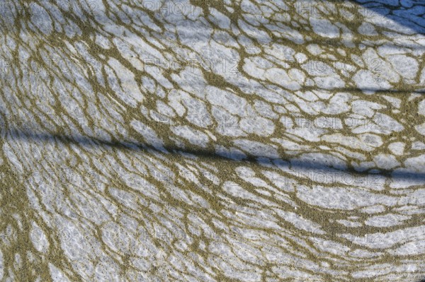 Structure of pollution in the port of Ahrenshoop, Darß, Baltic Sea, Mecklenburg-Western Pomerania, Germany