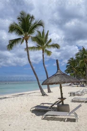 Beach, umbrellas, deckchairs, palm trees, sea, sky, clouds, Flic-en-Flac, Mauritius