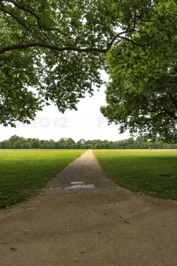 Long gravel path leading through the vast green fields of Hyde Park, London