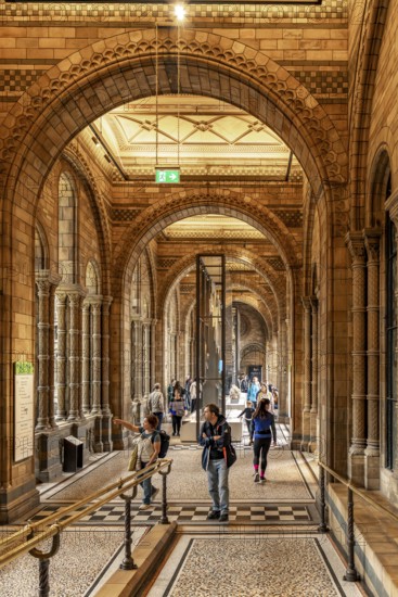 London, United Kingdom - 15 May 2025: The historic and beautiful arched gallery inside the renowned Natural History Museum in London