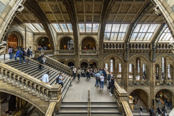 London, United Kingdom - 15 May 2025: People exploring the immense Natural History Museum